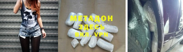 прущие грибы Алзамай