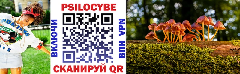 Псилоцибиновые грибы Psilocybe  цена   Армянск 